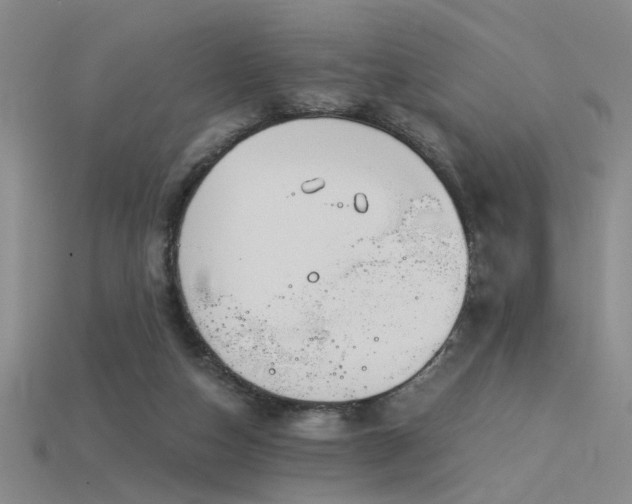 X0000115820162200911131451