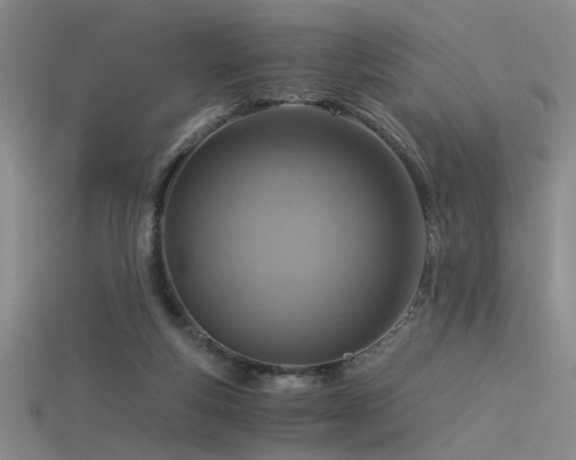 X0000115820163200911131451