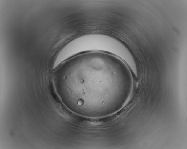 X0000115820165200911131452