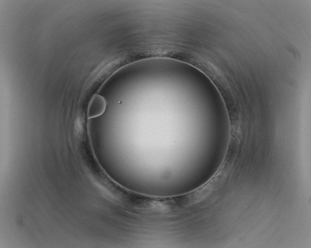 X0000115820166200911131452