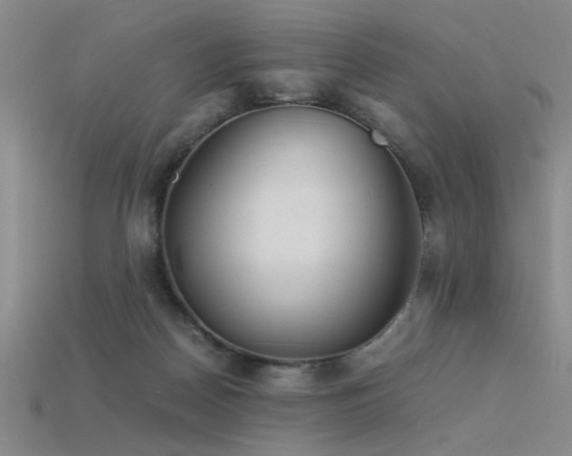 X0000115820170200911131452