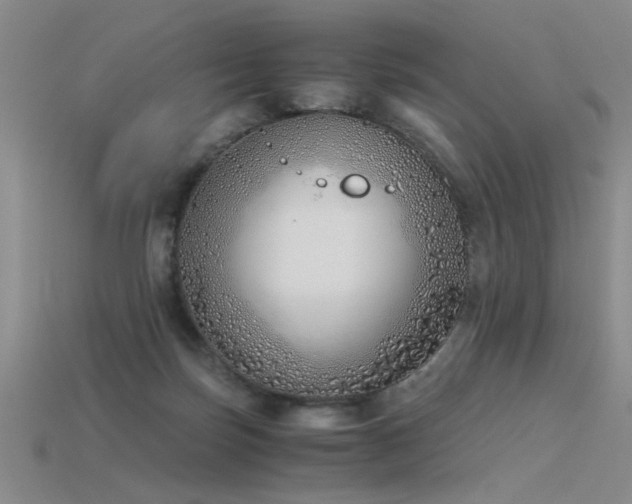 X0000115820171200911131452