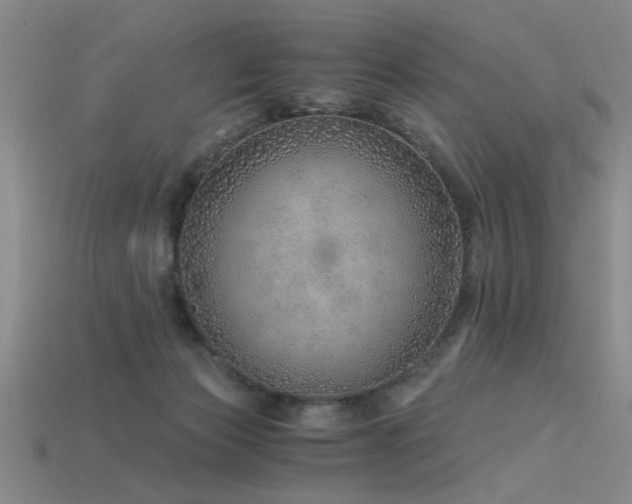 X0000115820173200911131452