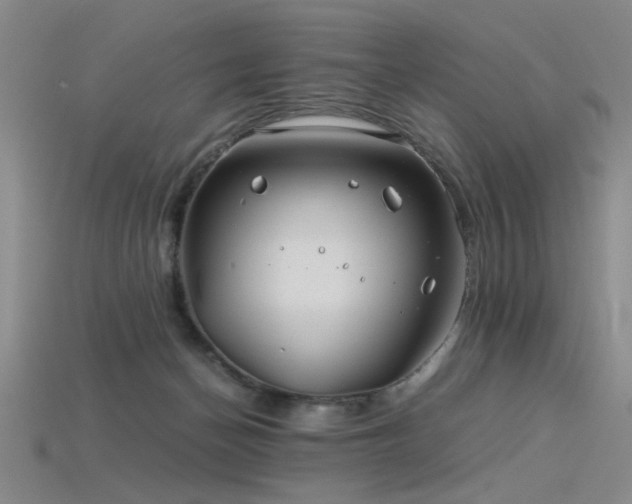 X0000115820174200911131452