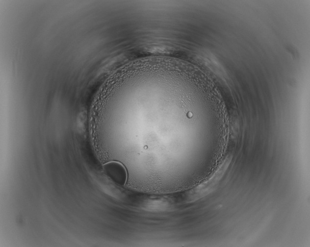 X0000115820175200911131452