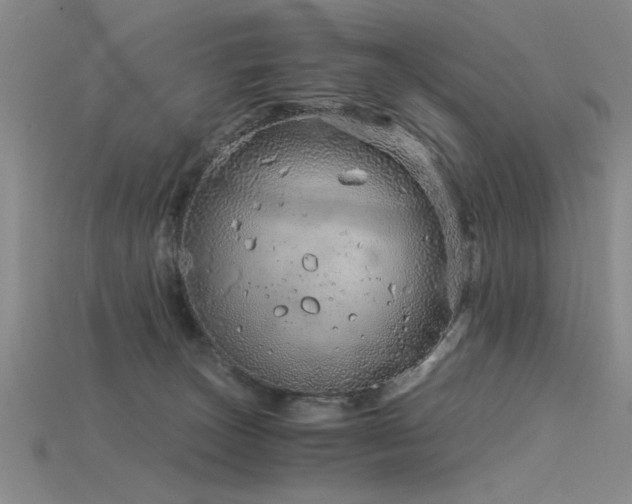 X0000115820179200911131452