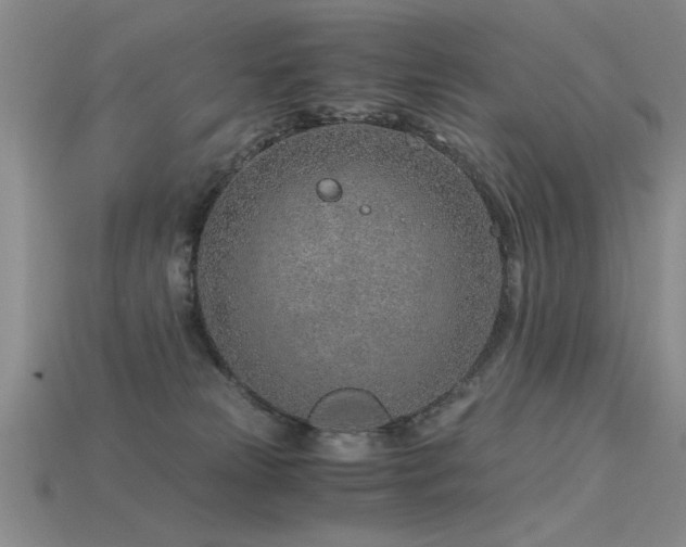 X0000115820181200911131452