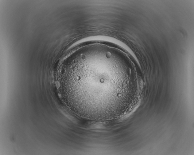 X0000115820182200911131452