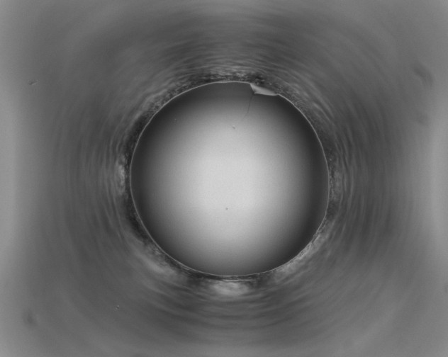 X0000115820183200911131452