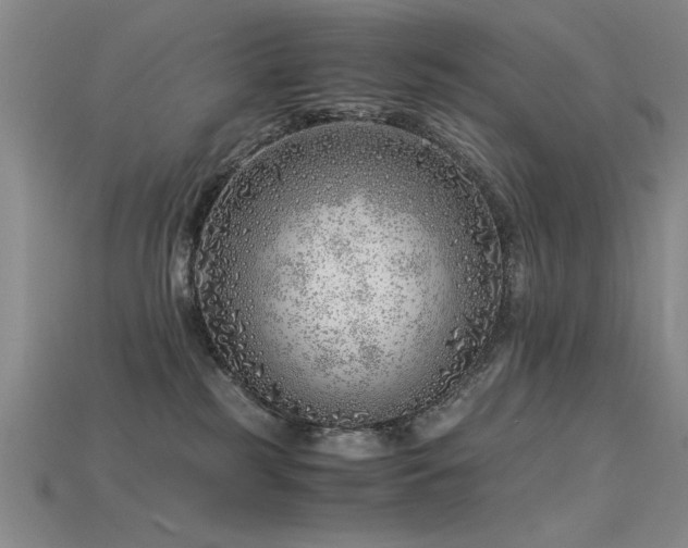 X0000115820185200911131452