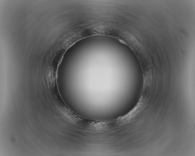 X0000115820186200911131452