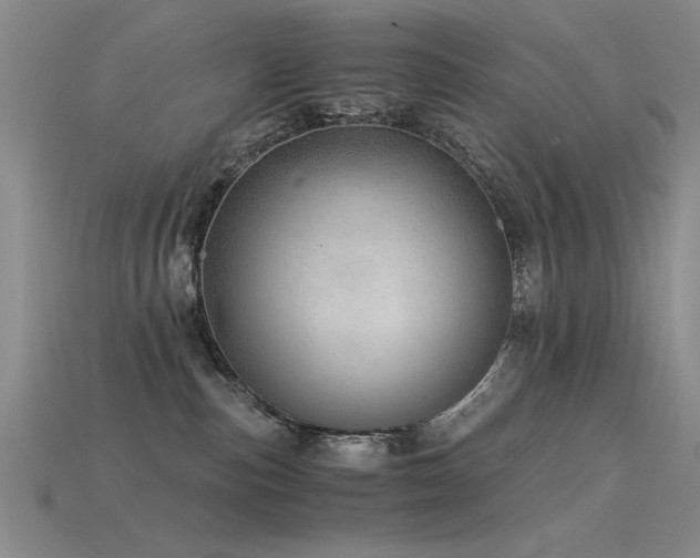 X0000115820187200911131452