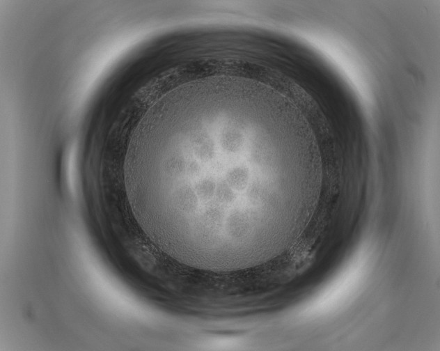 X0000115820189200911131452