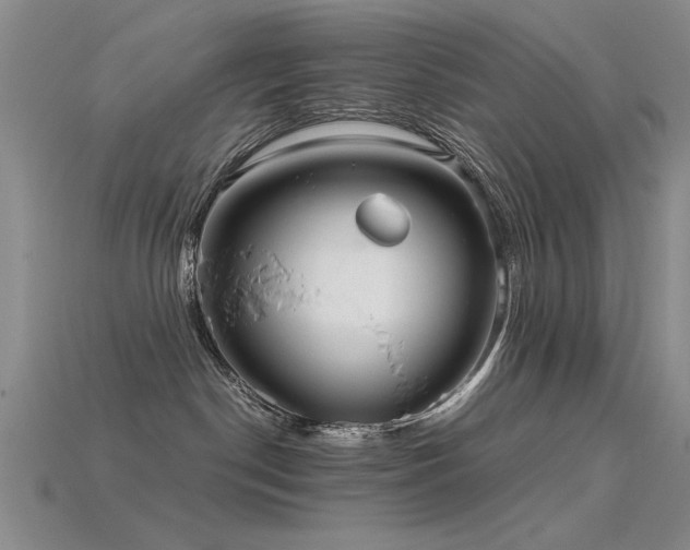 X0000115820190200911131452