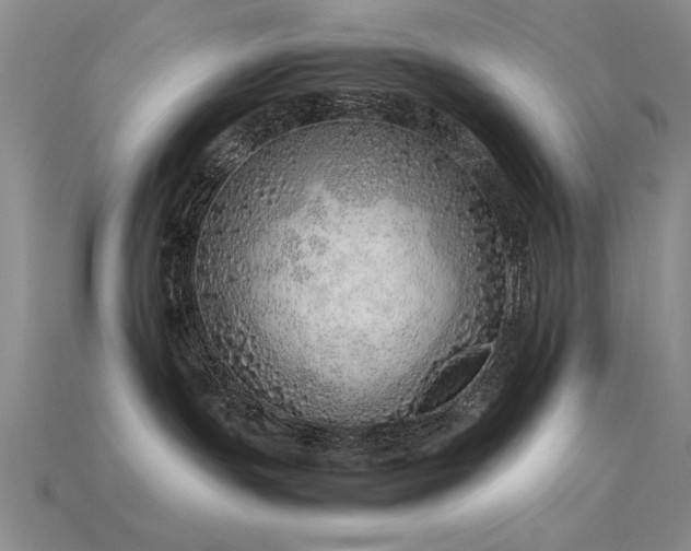 X0000115820191200911131452