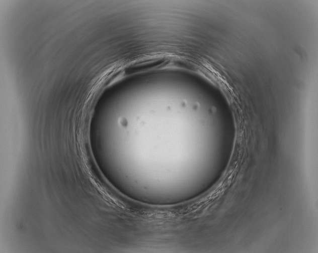 X0000115820193200911131451