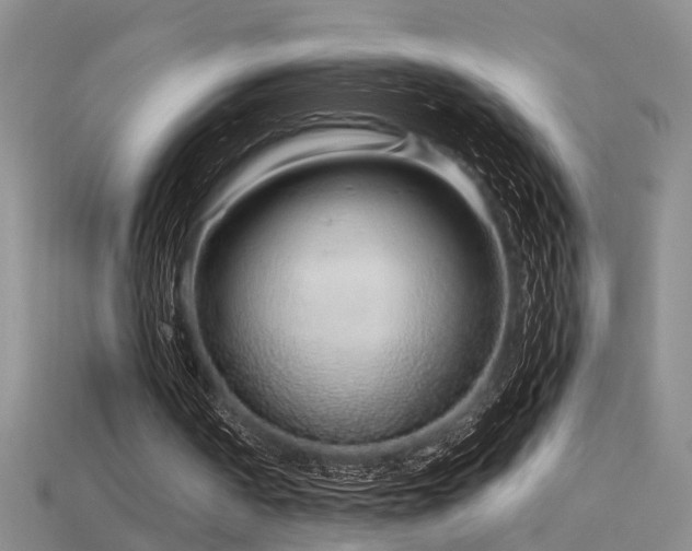 X0000115820194200911131451