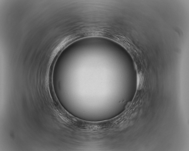 X0000115820195200911131451