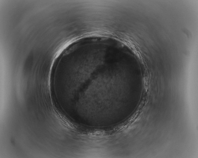 X0000115820196200911131451