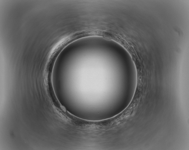 X0000115820197200911131451