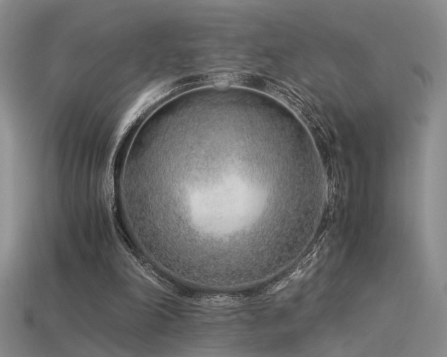 X0000115820198200911131451