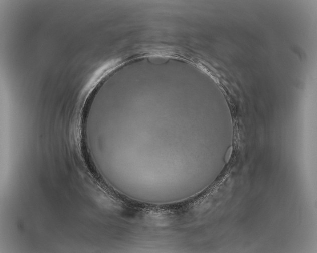 X0000115820199200911131451