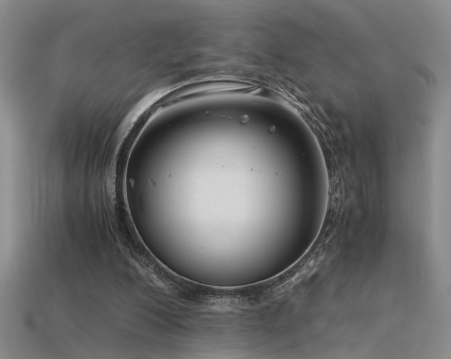 X0000115820200200911131451