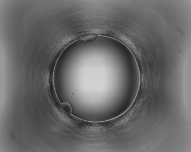 X0000115820201200911131451