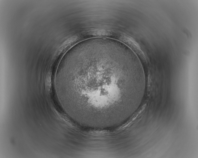 X0000115820202200911131451