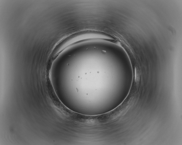 X0000115820204200911131451