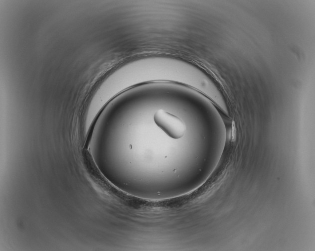 X0000115820205200911131451