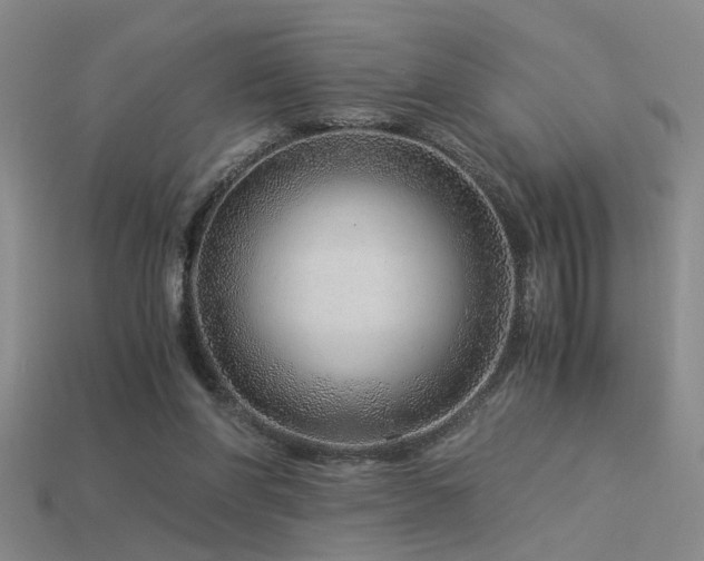 X0000115820206200911131451