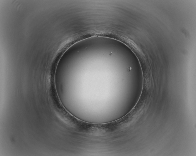 X0000115820207200911131451