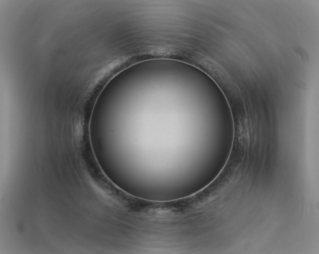 X0000115820208200911131451