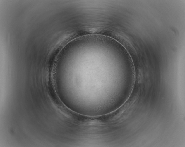 X0000115820210200911131451