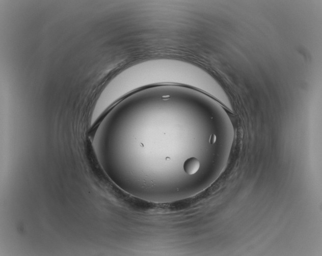 X0000115820211200911131451