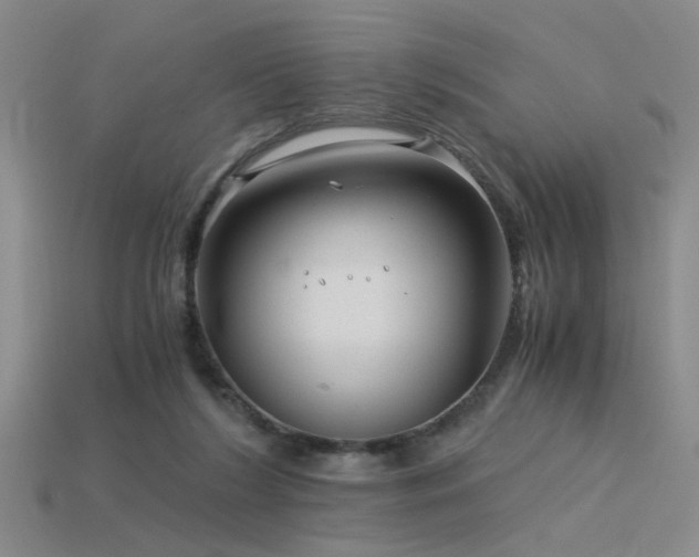 X0000115820212200911131451