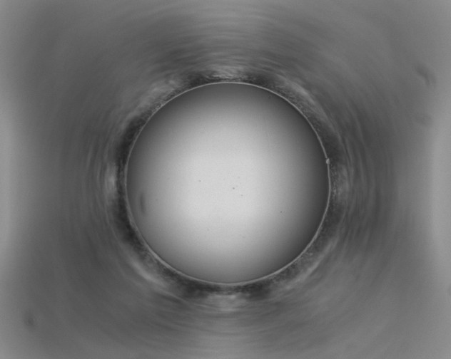 X0000115820213200911131451