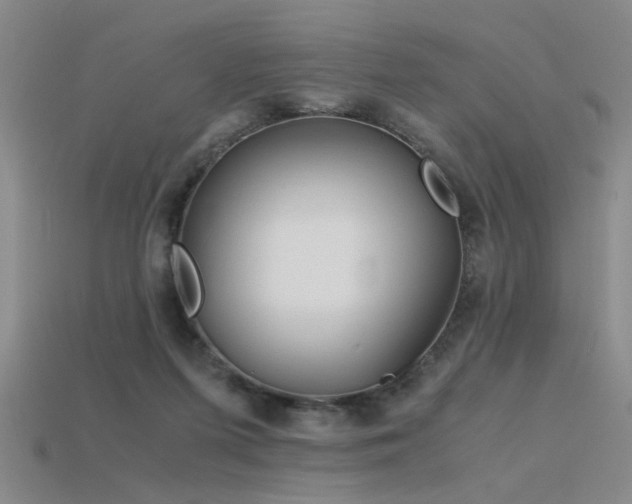 X0000115820215200911131451