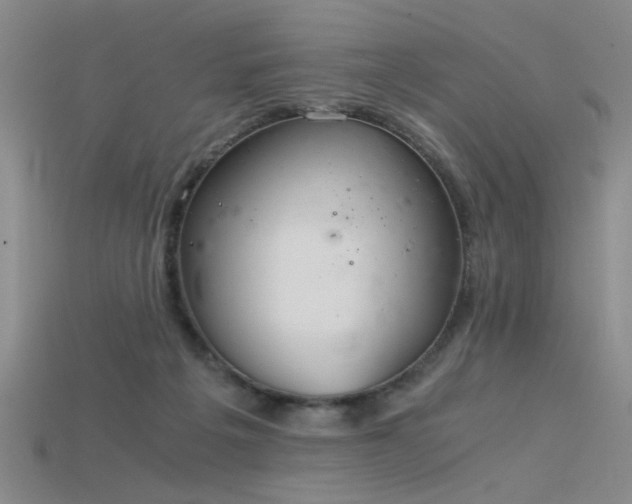 X0000115820217200911131451