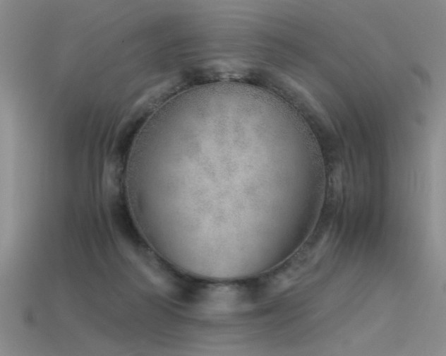 X0000115820218200911131451