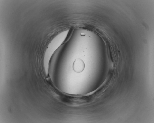 X0000115820219200911131451