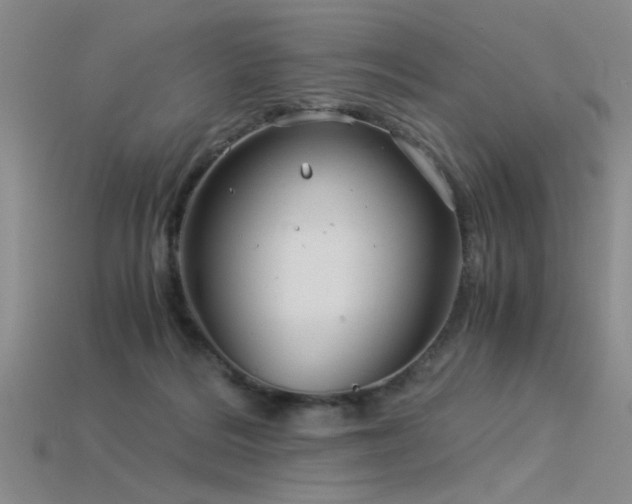 X0000115820220200911131451