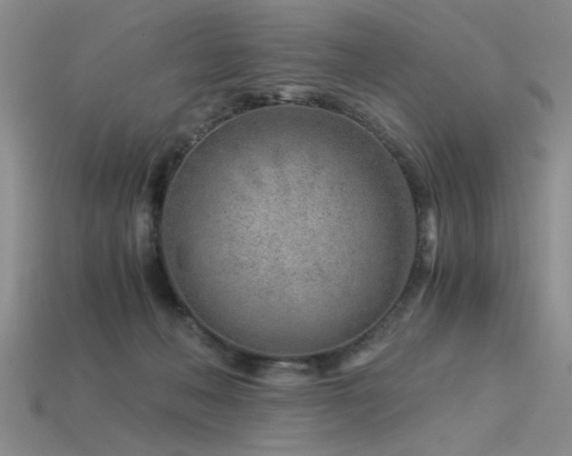 X0000115820222200911131451