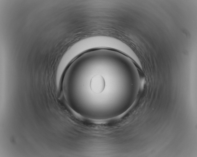 X0000115820223200911131451