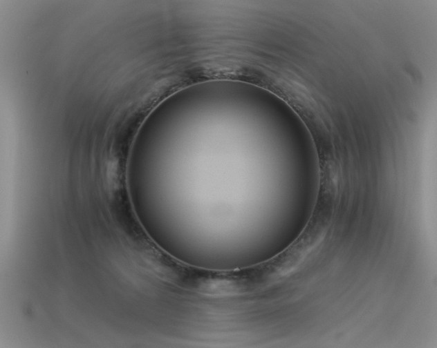 X0000115820224200911131451