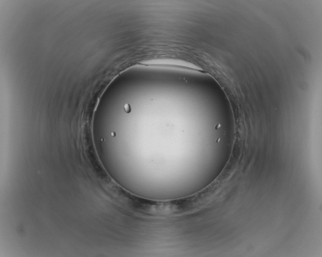 X0000115820225200911131451