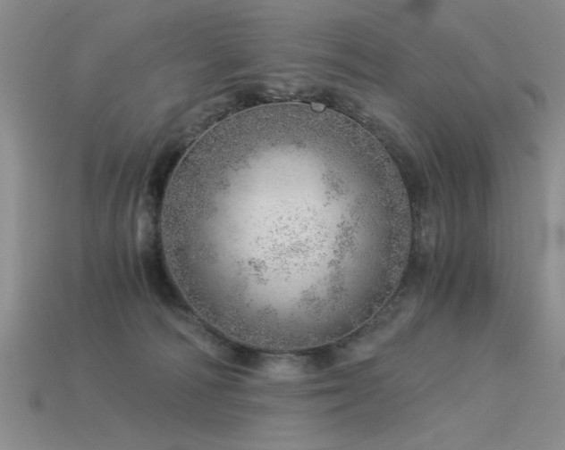 X0000115820226200911131451