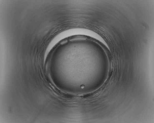 X0000115820227200911131451