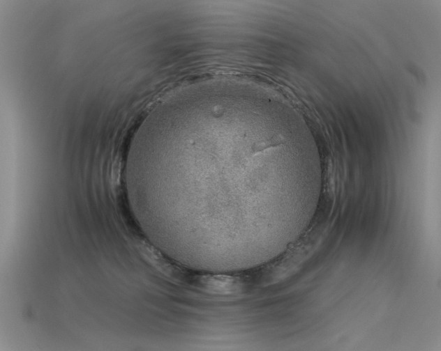 X0000115820230200911131451